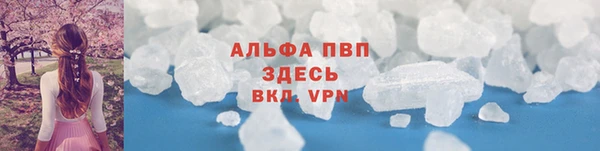 сатива Абинск