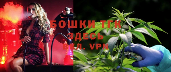 сатива Абинск