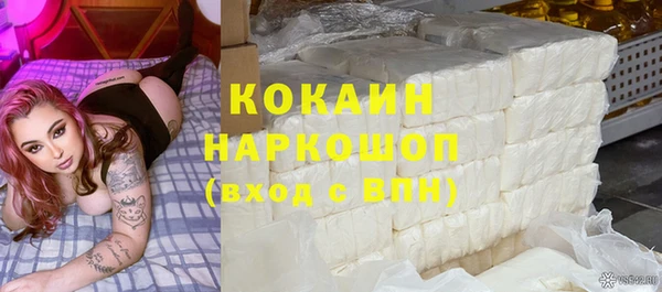 сатива Абинск