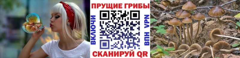 купить   Электроугли  mega маркетплейс  Псилоцибиновые грибы ЛСД 